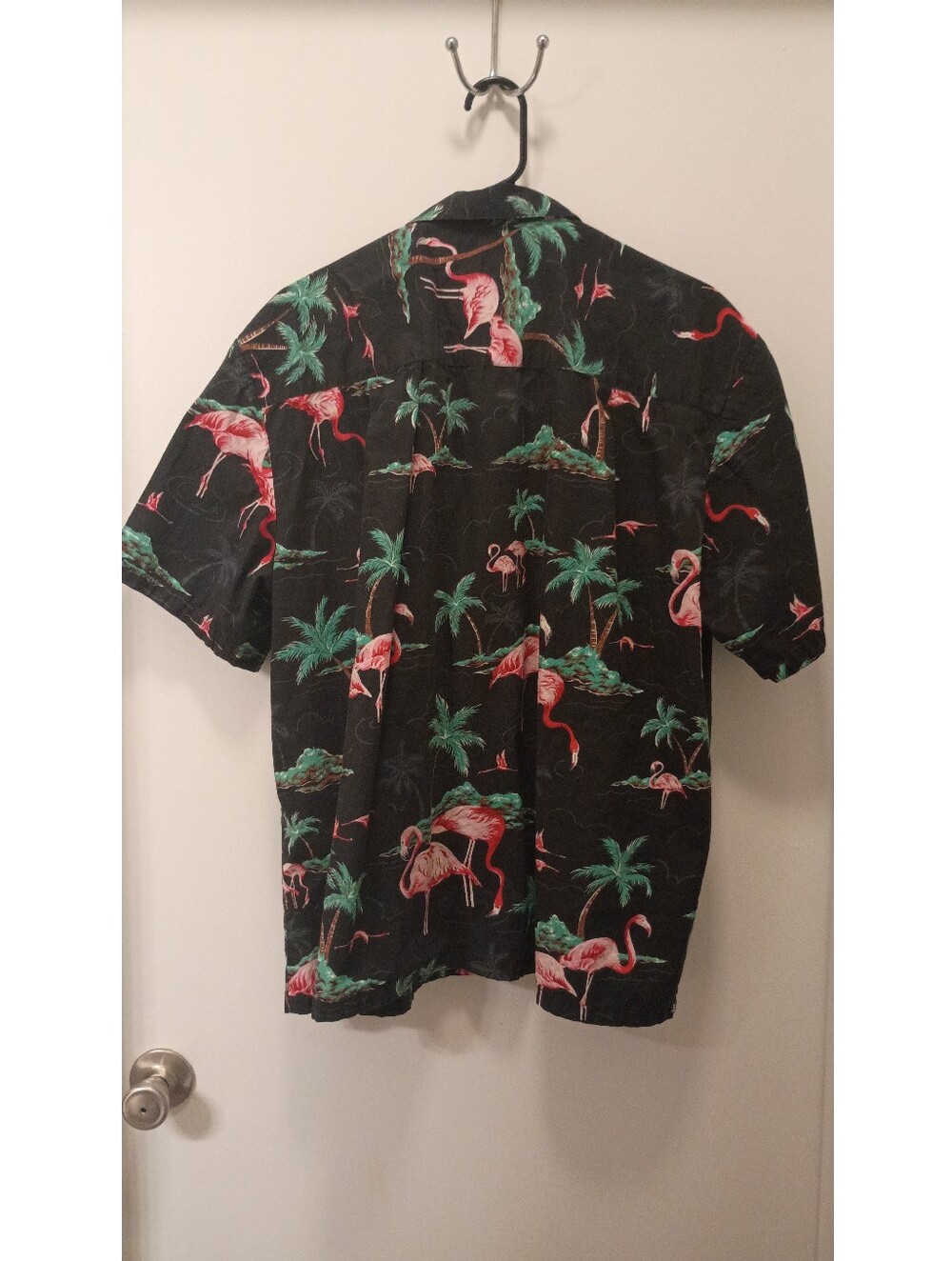 Button Down Shirt